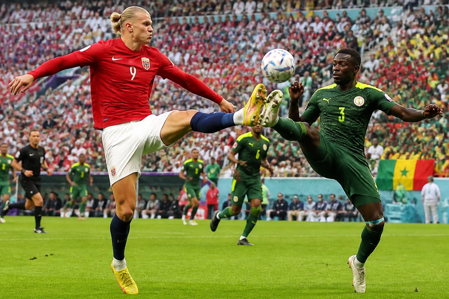 Norveç ve Senegal takımlarının futbolcuları, dolu bir stadyumda Dünya Kupası maçında top için mücadele ediyor.